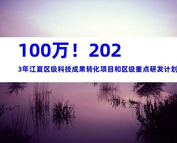100万！2023年江夏区级科技成果转化项目和区级重点研发计划项目申报条件、材料