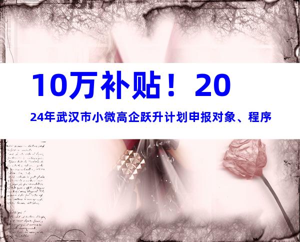 10万补贴！2024年武汉市小微高企跃升计划申报对象、程序