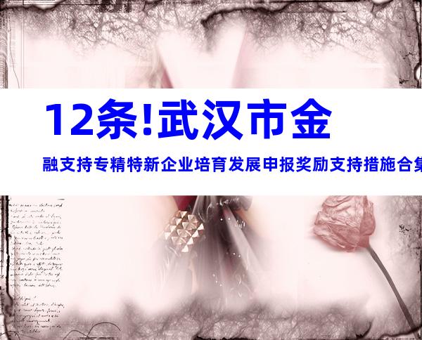12条!武汉市金融支持专精特新企业培育发展申报奖励支持措施合集
