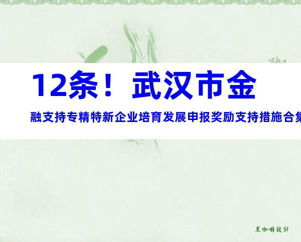 12条！武汉市金融支持专精特新企业培育发展申报奖励支持措施合集