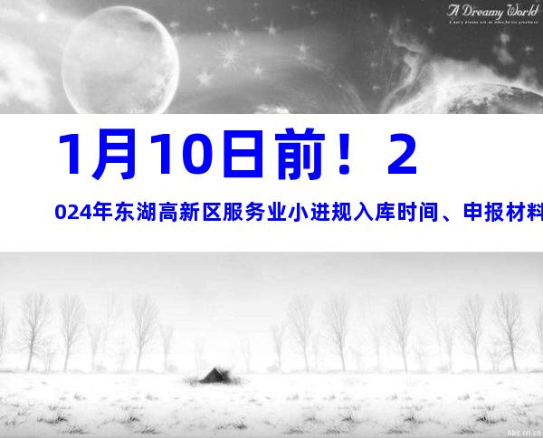 1月10日前！2024年东湖高新区服务业小进规入库时间、申报材料