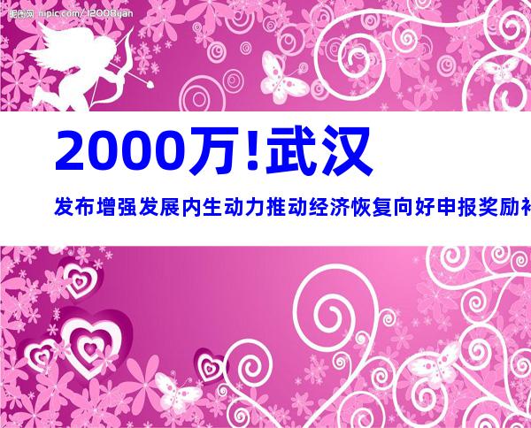 2000万!武汉发布增强发展内生动力推动经济恢复向好申报奖励补贴措施