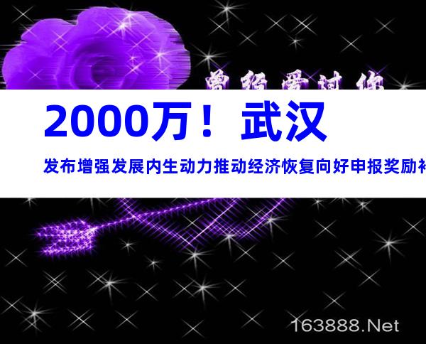 2000万！武汉发布增强发展内生动力推动经济恢复向好申报奖励补贴措施