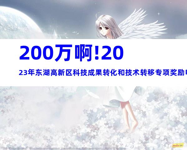 200万啊!2023年东湖高新区科技成果转化和技术转移专项奖励申报方式、时间