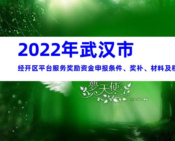 2022年武汉市经开区平台服务奖励资金申报条件、奖补、材料及程序