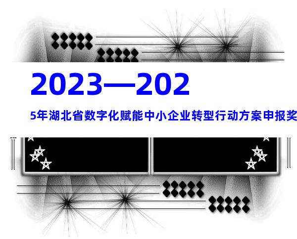 2023—2025年湖北省数字化赋能中小企业转型行动方案申报奖励补贴