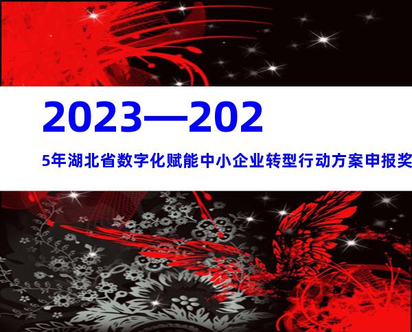 2023—2025年湖北省数字化赋能中小企业转型行动方案申报奖励补贴