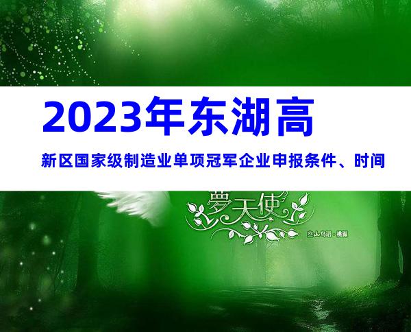 2023年东湖高新区国家级制造业单项冠军企业申报条件、时间