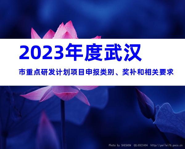 2023年度武汉市重点研发计划项目申报类别、奖补和相关要求