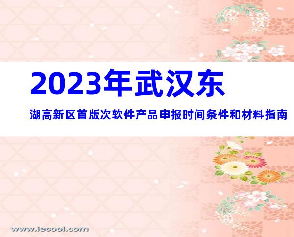 2023年武汉东湖高新区首版次软件产品申报时间条件和材料指南
