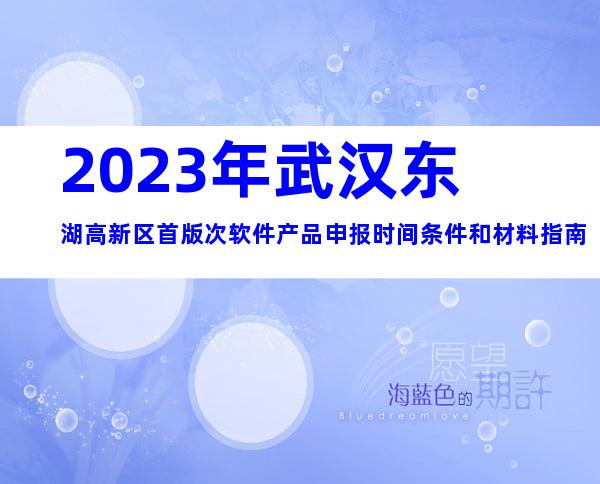 2023年武汉东湖高新区首版次软件产品申报时间条件和材料指南