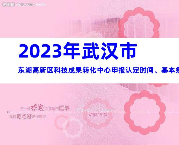 2023年武汉市东湖高新区科技成果转化中心申报认定时间、基本条件及流程