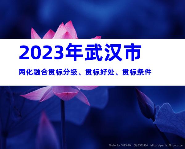 2023年武汉市两化融合贯标分级、贯标好处、贯标条件