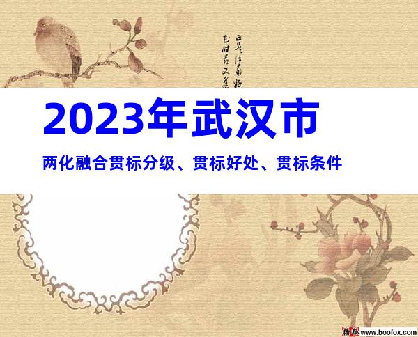 2023年武汉市两化融合贯标分级、贯标好处、贯标条件