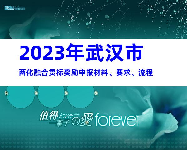 2023年武汉市两化融合贯标奖励申报材料、要求、流程