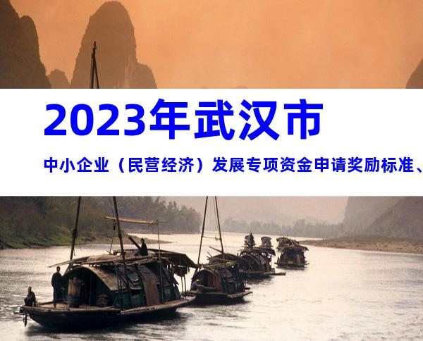 2023年武汉市中小企业（民营经济）发展专项资金申请奖励标准、条件及流程