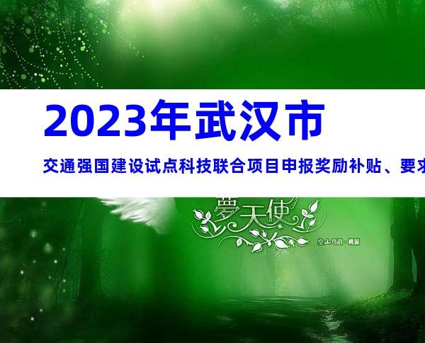 2023年武汉市交通强国建设试点科技联合项目申报奖励补贴、要求、流程