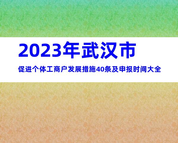 2023年武汉市促进个体工商户发展措施40条及申报时间大全