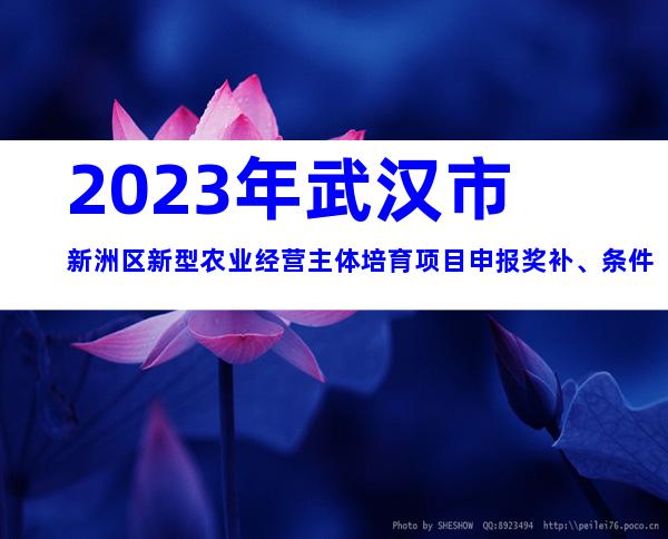 2023年武汉市新洲区新型农业经营主体培育项目申报奖补、条件