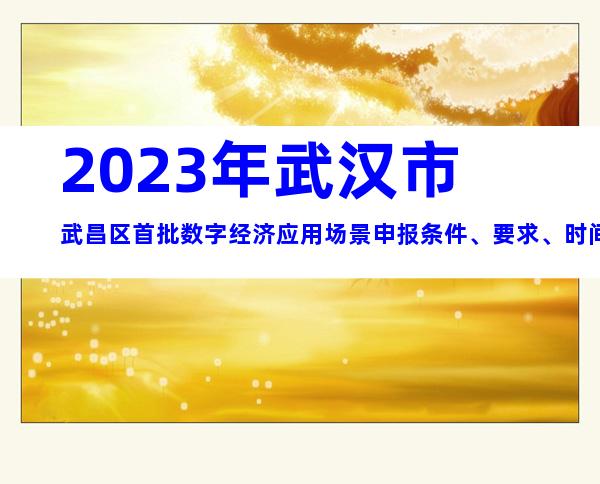 2023年武汉市武昌区首批数字经济应用场景申报条件、要求、时间、材料