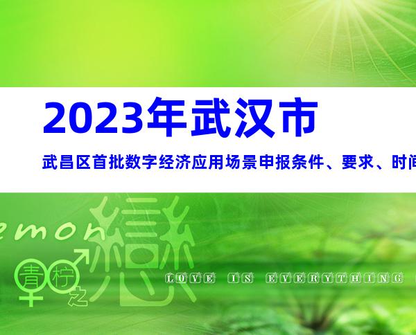 2023年武汉市武昌区首批数字经济应用场景申报条件、要求、时间、材料大全