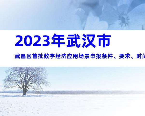 2023年武汉市武昌区首批数字经济应用场景申报条件、要求、时间、材料大全