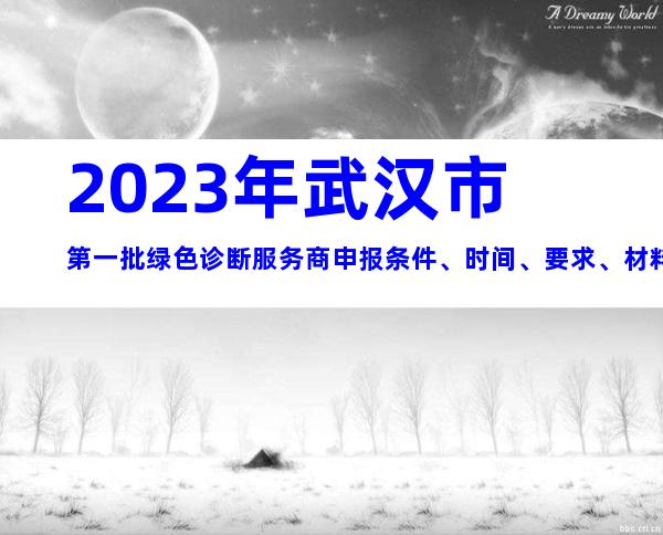 2023年武汉市第一批绿色诊断服务商申报条件、时间、要求、材料汇总
