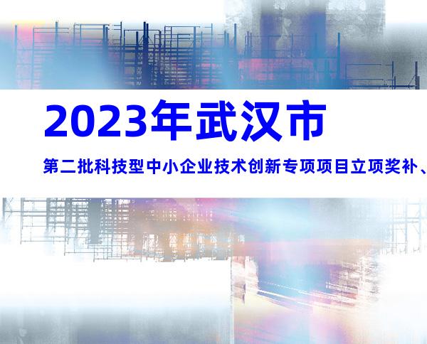 2023年武汉市第二批科技型中小企业技术创新专项项目立项奖补、申报程序