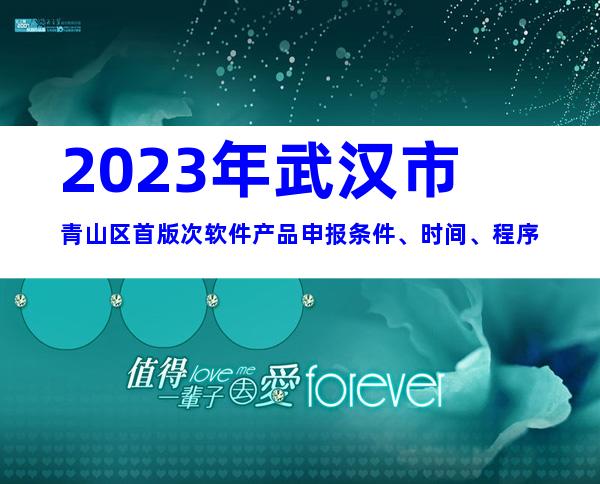 2023年武汉市青山区首版次软件产品申报条件、时间、程序