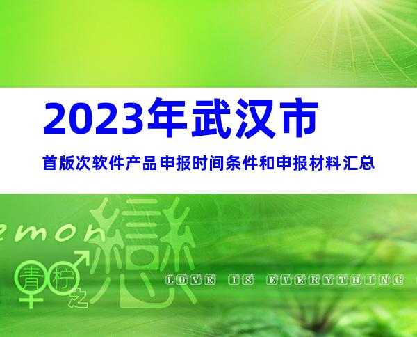 2023年武汉市首版次软件产品申报时间条件和申报材料汇总