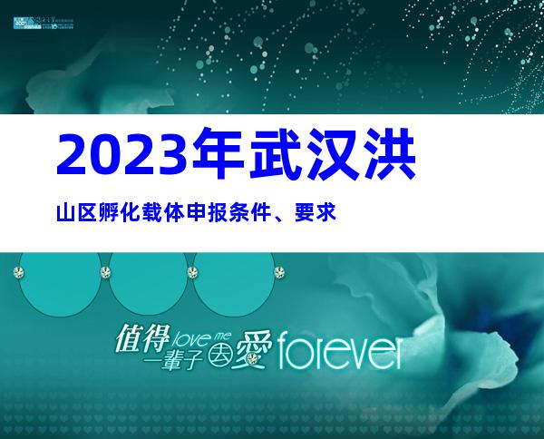 2023年武汉洪山区孵化载体申报条件、要求