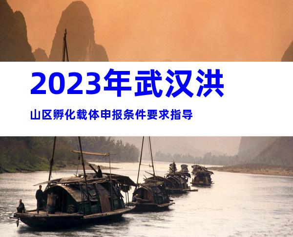 2023年武汉洪山区孵化载体申报条件要求指导