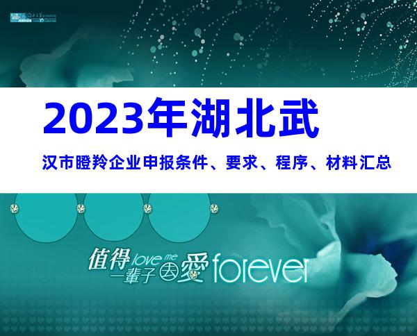 2023年湖北武汉市瞪羚企业申报条件、要求、程序、材料汇总