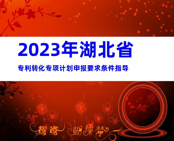 2023年湖北省专利转化专项计划申报要求条件指导