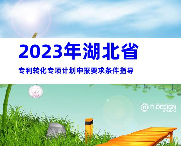 2023年湖北省专利转化专项计划申报要求条件指导