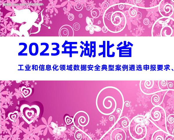 2023年湖北省工业和信息化领域数据安全典型案例遴选申报要求、时间及流程