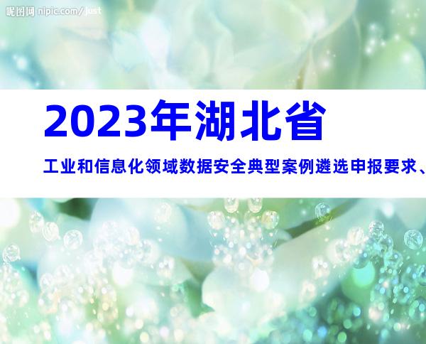 2023年湖北省工业和信息化领域数据安全典型案例遴选申报要求、时间及流程