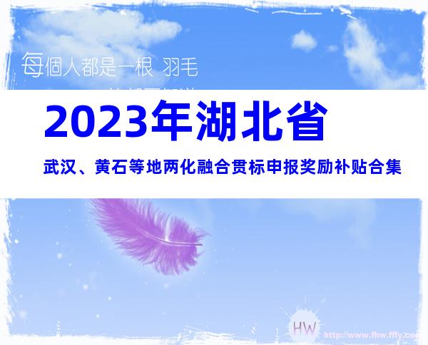 2023年湖北省武汉、黄石等地两化融合贯标申报奖励补贴合集