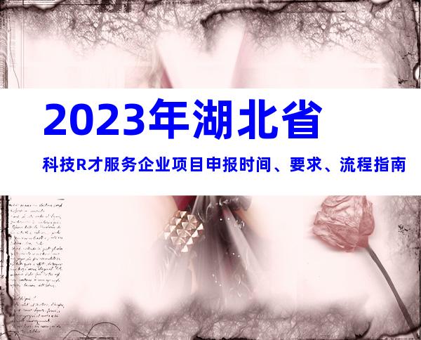 2023年湖北省科技R才服务企业项目申报时间、要求、流程指南