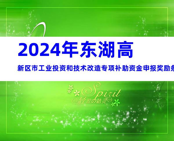 2024年东湖高新区市工业投资和技术改造专项补助资金申报奖励条件及认定材料、时间归集