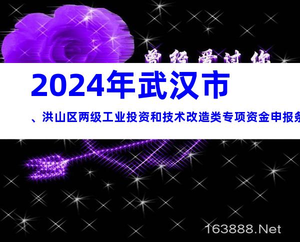2024年武汉市、洪山区两级工业投资和技术改造类专项资金申报条件、奖补、材料、时间