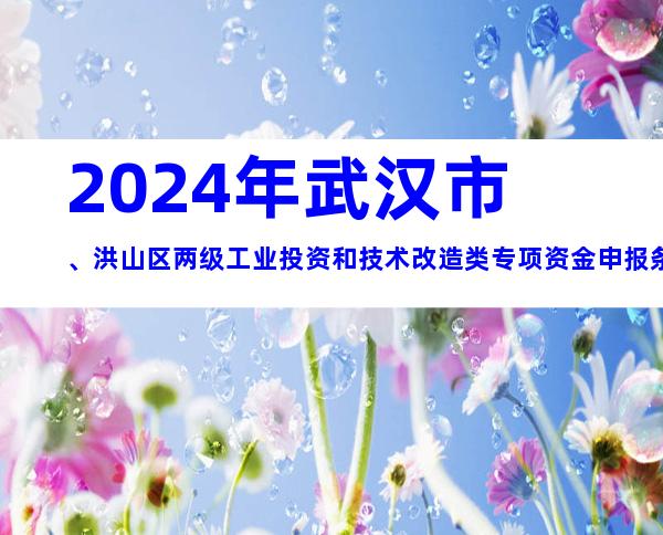 2024年武汉市、洪山区两级工业投资和技术改造类专项资金申报条件、奖补、材料、时间