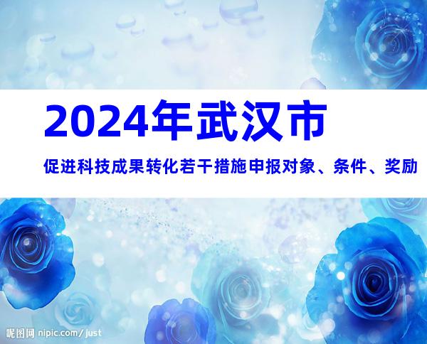 2024年武汉市促进科技成果转化若干措施申报对象、条件、奖励