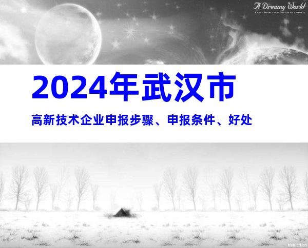 2024年武汉市高新技术企业申报步骤、申报条件、好处