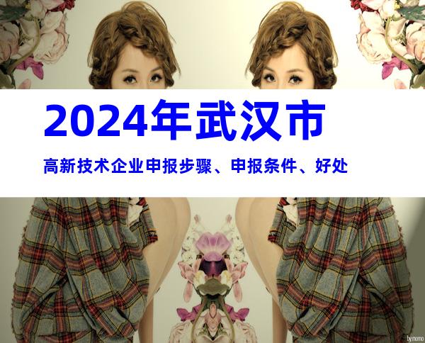 2024年武汉市高新技术企业申报步骤、申报条件、好处