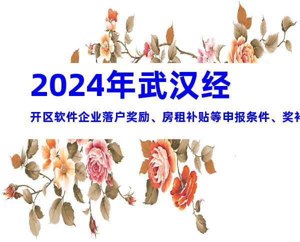 2024年武汉经开区软件企业落户奖励、房租补贴等申报条件、奖补汇编