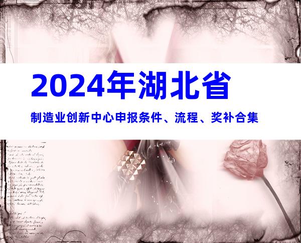 2024年湖北省制造业创新中心申报条件、流程、奖补合集