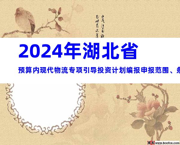 2024年湖北省预算内现代物流专项引导投资计划编报申报范围、条件及要求