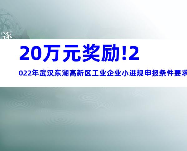 20万元奖励!2022年武汉东湖高新区工业企业小进规申报条件要求及奖励