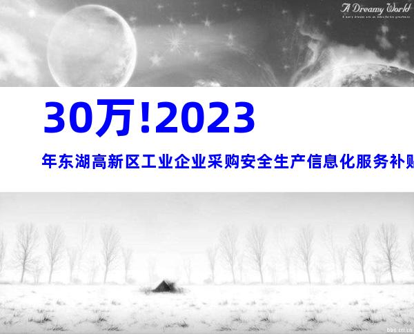 30万!2023年东湖高新区工业企业采购安全生产信息化服务补贴申报时间、条件